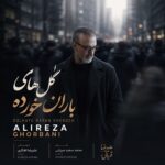دانلود آهنگ علیرضا قربانی به نام گل های باران خورده دانلود آهنگ علیرضا قربانی به نام گل های باران خورده